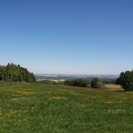 Ubytovani Ronsperk Pobezovice Bagian luar foto