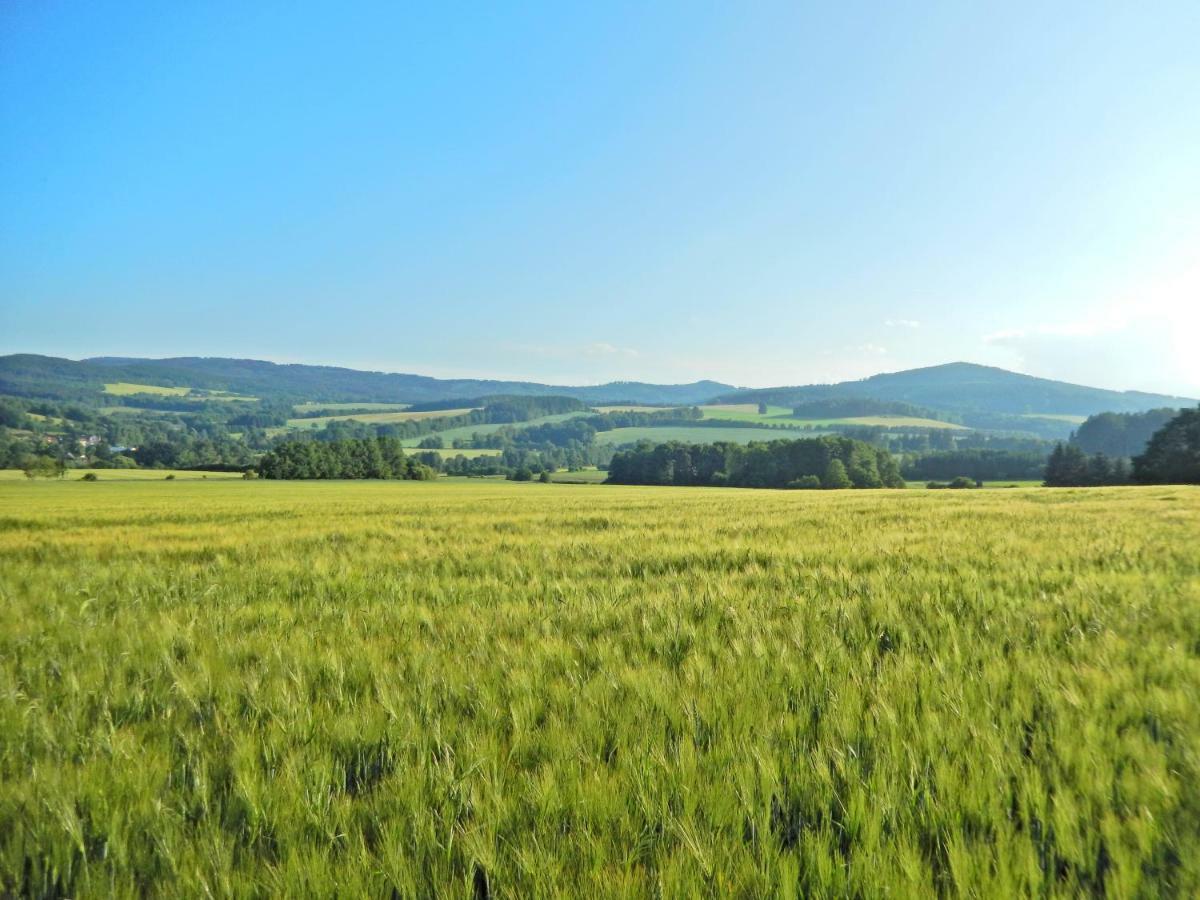 Ubytovani Ronsperk Pobezovice Bagian luar foto