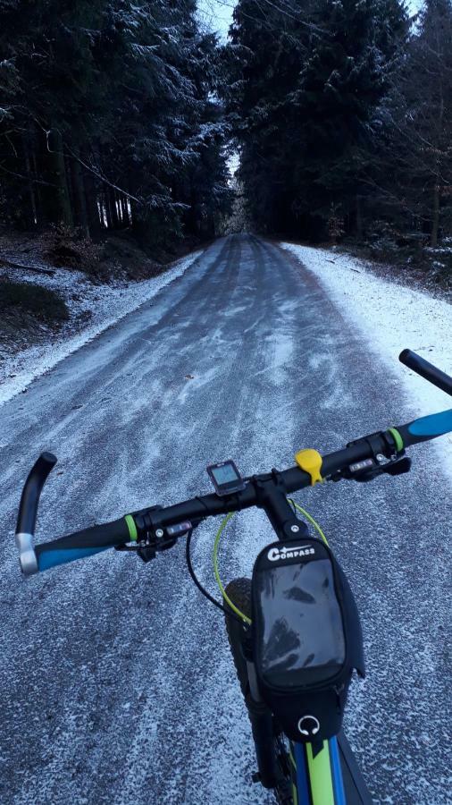 Ubytovani Ronsperk Pobezovice Bagian luar foto